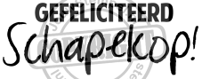 GEFELICITEERD SCHAPEKOP 7X2-77CM copy